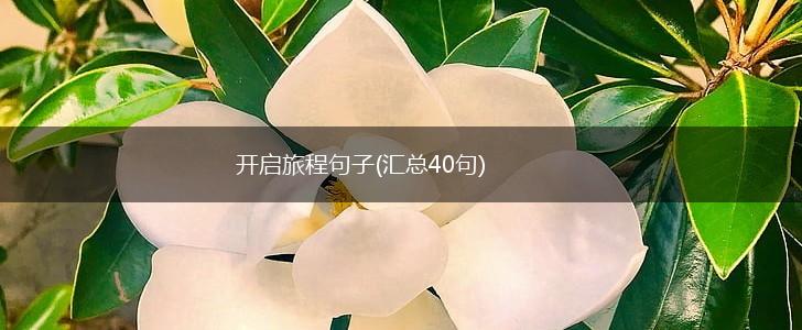 开启旅程句子(汇总40句),第1张