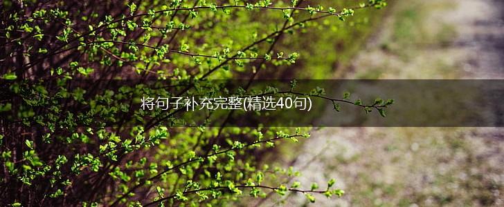 将句子补充完整(精选40句),第1张