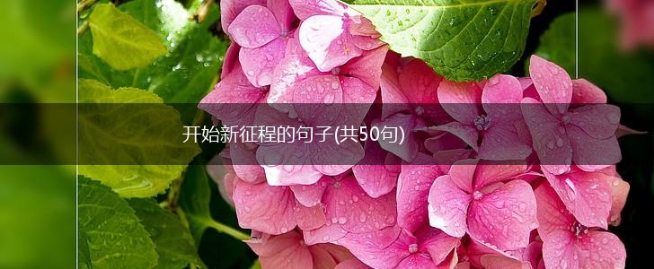 开始新征程的句子(共50句),第1张