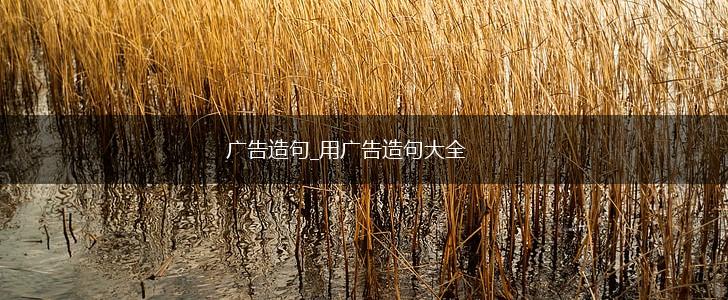 广告造句_用广告造句大全,第1张