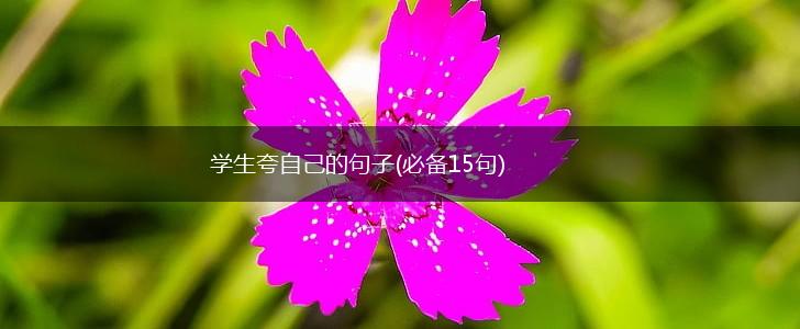 学生夸自己的句子(必备15句),第1张