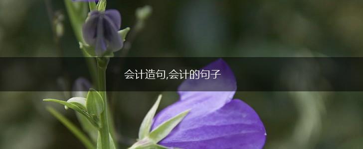 会计造句,会计的句子,第1张
