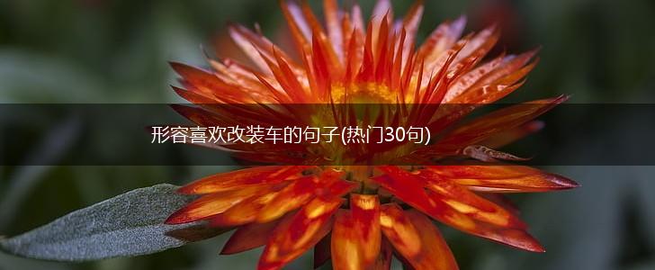 形容喜欢改装车的句子(热门30句),第1张