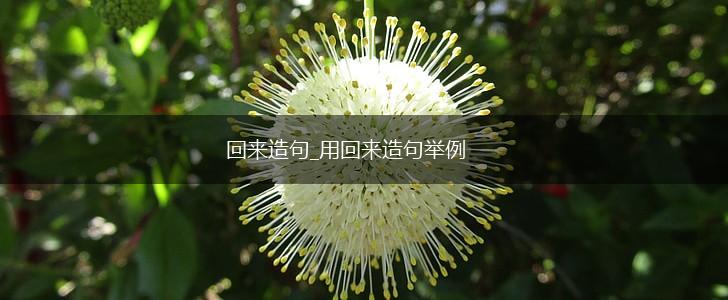 回来造句_用回来造句举例,第1张
