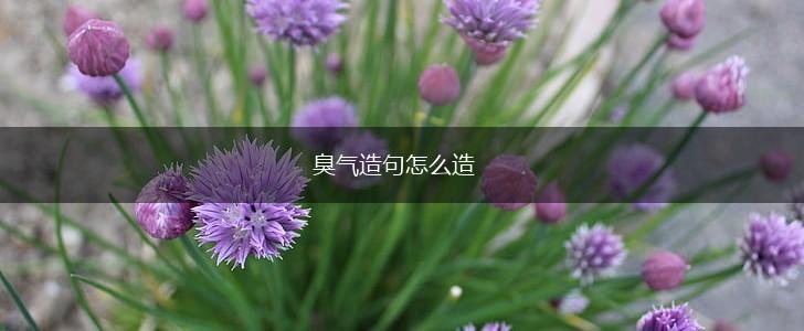 臭气造句怎么造,第1张
