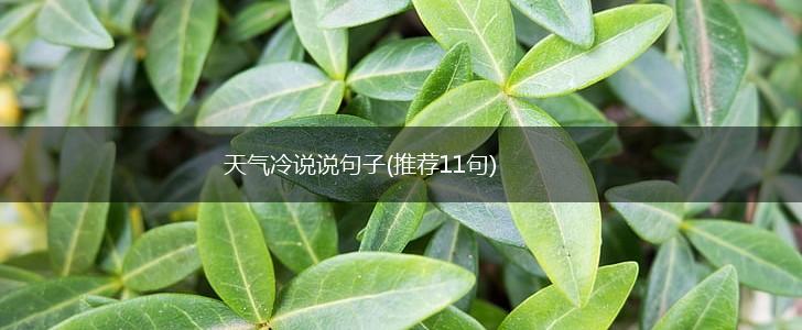 天气冷说说句子(推荐11句),第1张