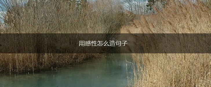 用感性怎么造句子,第1张