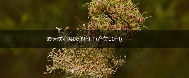 夏天关心朋友的句子(合集10句),第1张