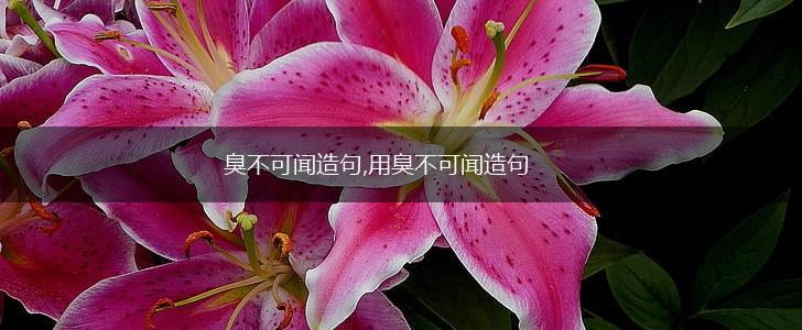 臭不可闻造句,用臭不可闻造句,第1张