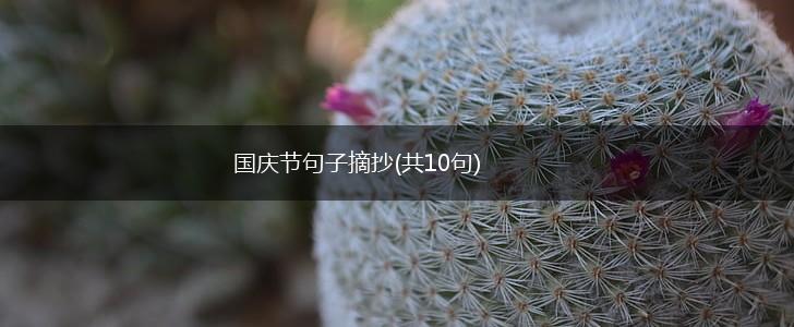 国庆节句子摘抄(共10句),第1张