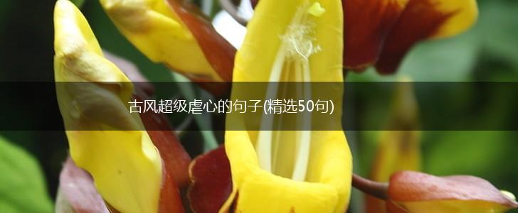 古风超级虐心的句子(精选50句),第1张