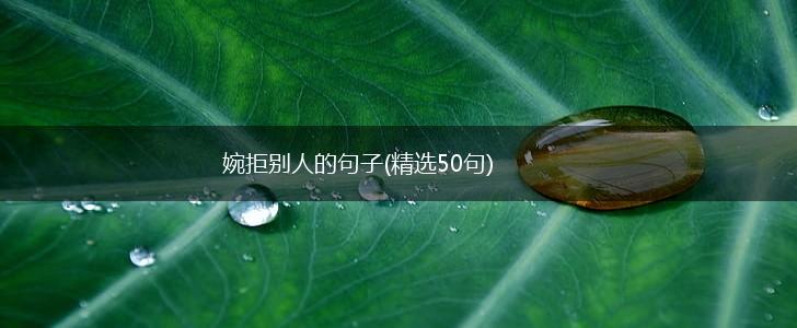 婉拒别人的句子(精选50句),第1张