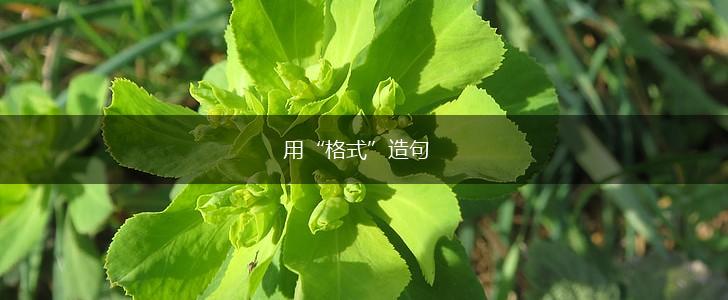 用“格式”造句,第1张