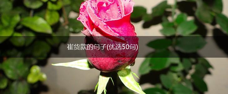 崔货款的句子(优选50句),第1张