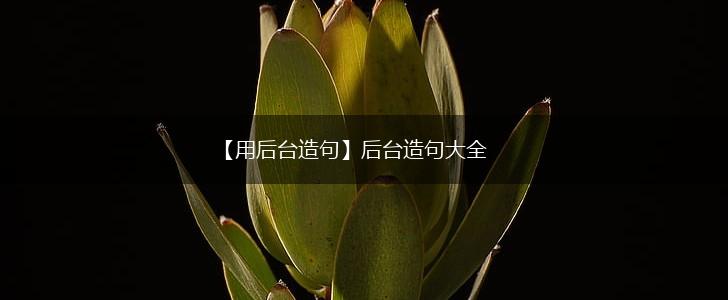 【用后台造句】后台造句大全,第1张