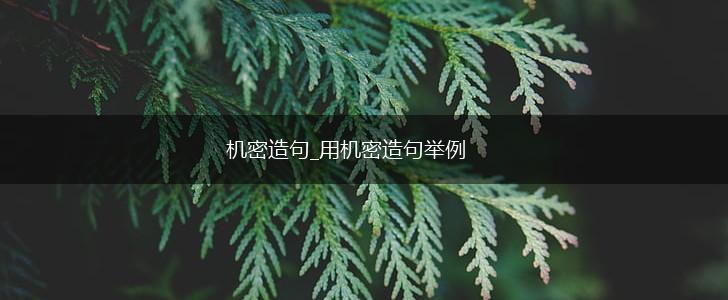 机密造句_用机密造句举例,第1张