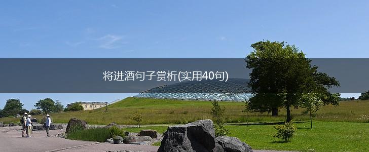 将进酒句子赏析(实用40句),第1张