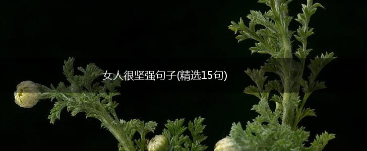 女人很坚强句子(精选15句),第1张