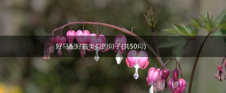 好马配好鞍类似的句子(共50句),第1张