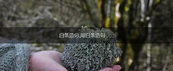 白条造句,用白条造句,第1张