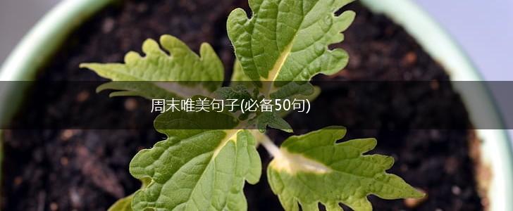 周末唯美句子(必备50句),第1张