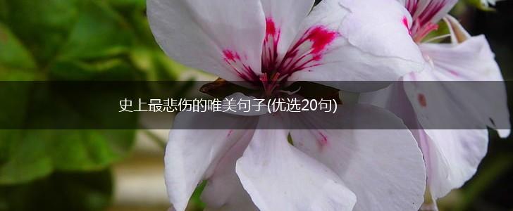 史上最悲伤的唯美句子(优选20句),第1张