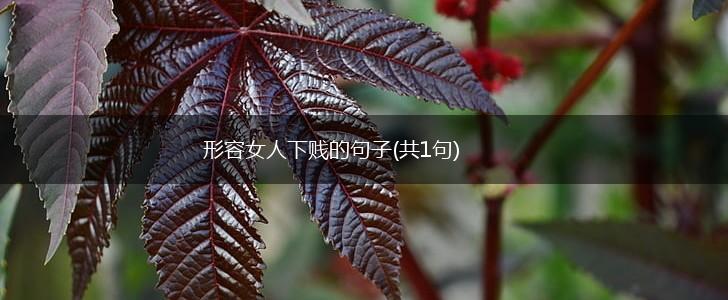 形容女人下贱的句子(共1句),第1张