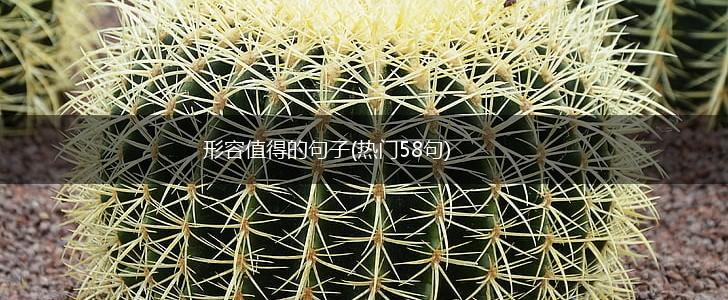 形容值得的句子(热门58句),第1张