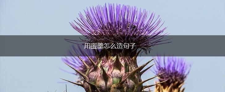 用蛋羹怎么造句子,第1张