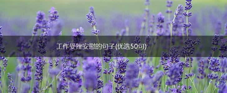 工作受挫安慰的句子(优选50句),第1张