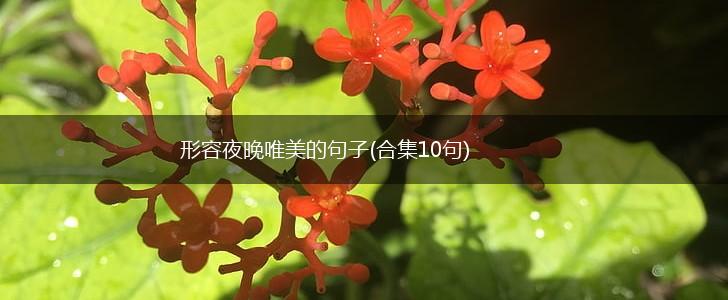 形容夜晚唯美的句子(合集10句),第1张