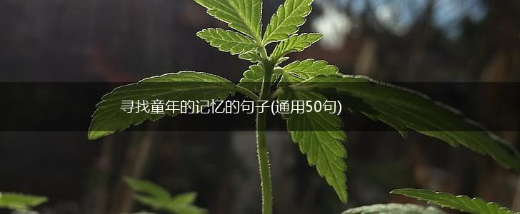 寻找童年的记忆的句子(通用50句),第1张