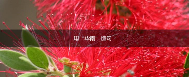 用“华南”造句,第1张