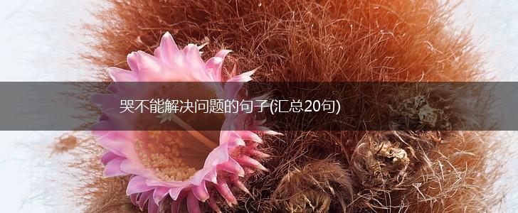 哭不能解决问题的句子(汇总20句),第1张