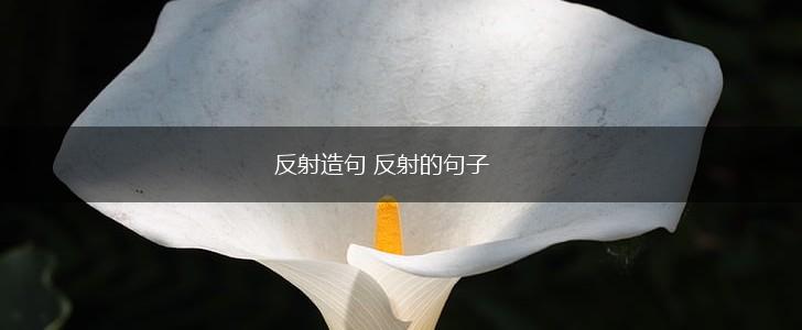 反射造句 反射的句子,第1张