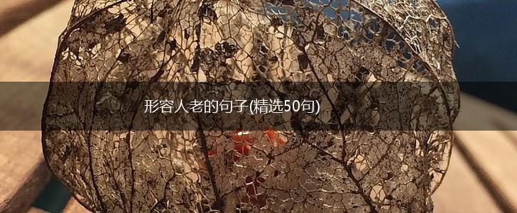 形容人老的句子(精选50句),第1张