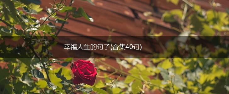 幸福人生的句子(合集40句),第1张