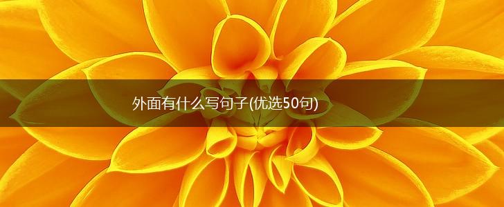 外面有什么写句子(优选50句),第1张