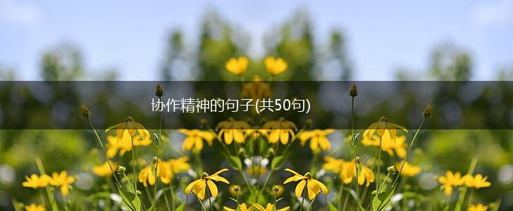 协作精神的句子(共50句),第1张
