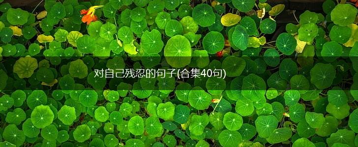 对自己残忍的句子(合集40句),第1张