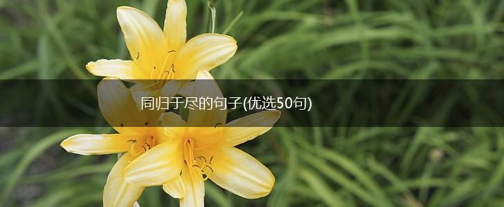 同归于尽的句子(优选50句),第1张