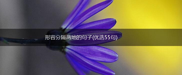 形容分隔两地的句子(优选55句),第1张