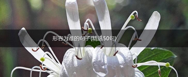 形容为难的句子(精选50句),第1张
