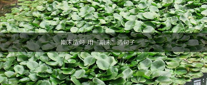 期末造句_用“期末”造句子,第1张