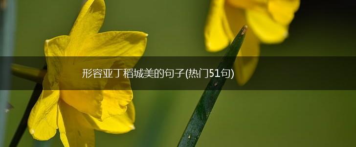 形容亚丁稻城美的句子(热门51句),第1张