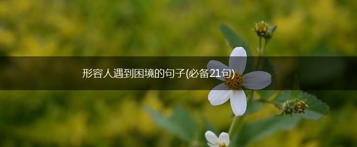 形容人遇到困境的句子(必备21句),第1张