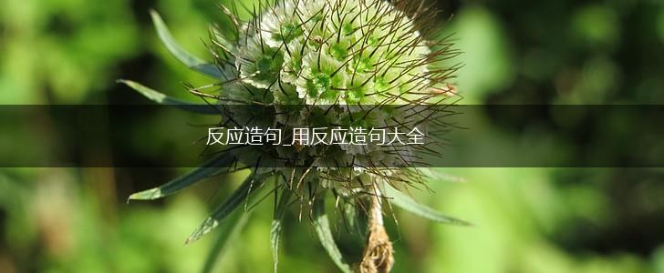 反应造句_用反应造句大全,第1张