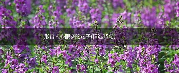 形容人心眼多的句子(精选15句),第1张