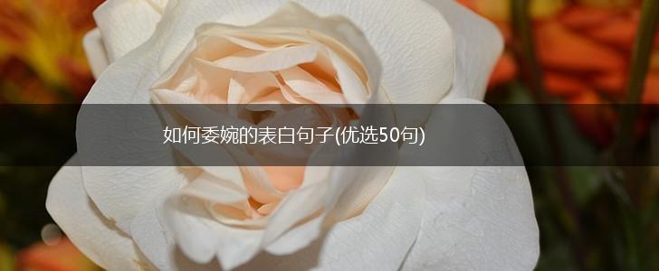 如何委婉的表白句子(优选50句),第1张
