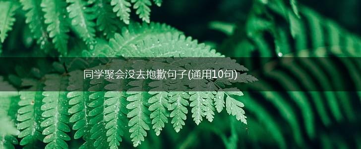 同学聚会没去抱歉句子(通用10句),第1张